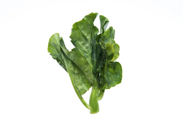 Chinese Kale Vegetable Fresh Chinese Kale Vegetable White Background — Stock Photo, Image