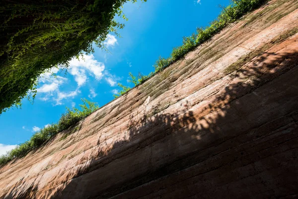 Mrówki Oczy Widokiem Underground Przekrój Zielonej Trawy Beneathand Warstwy Gleby — Zdjęcie stockowe
