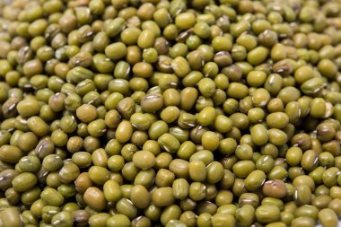 Yeşil Mung / beyaz bir arka plan üzerinde Vigna Işınsal simetrili canlılar