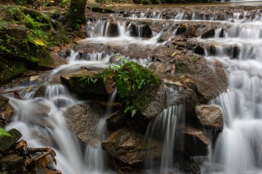 Maekampong, Chiang Mai, Tayland 'daki yağmur ormanlarında küçük güzel bir şelale..