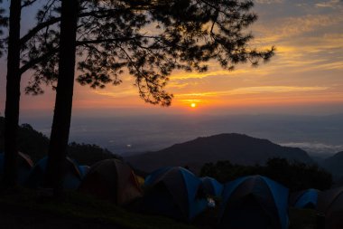 Adventures kamp Turizm ve çadır, görünüm orman manzara, dışarı