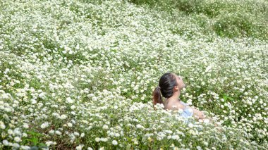 Asyalı kadın portresi rahatlayın. Krizantem çiçekleri Tayland geleneksel popüler Krizantem bitkisel çay yapmak için madde.