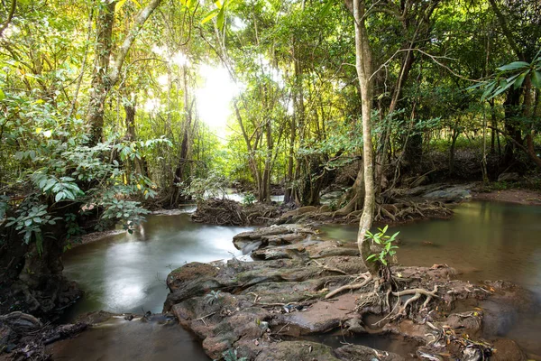 Cascada verde bosque río arroyo paisaje, Cascada oculta en la selva tropical en el Parque Nacional, Tailandia. —  Fotos de Stock