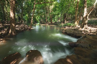 Şelale, yeşil orman, dere manzarası, Tayland 'daki tropikal ormanda saklı şelale..