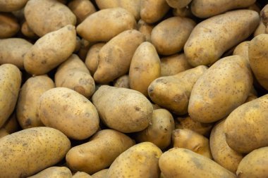patates : piyasada çiğ sebze gıda