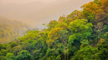 Dağları, görkemli turuncu gökyüzü ve bulutları olan tropik bir orman. Maewong Ulusal Parkı 'nda kamp alanı, Nakhonsawan, Tayland.