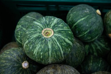 Taze Japon balkabakları. Bir grup taze, yeşil Japon.
