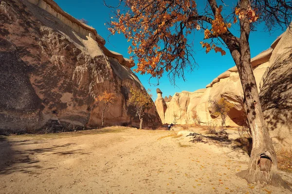 Capadocia Turquía Chimenea Hadas Champiñones Piedra Multicabeza Valle Los Monjes —  Fotos de Stock