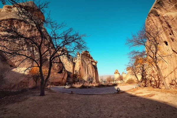 Cappadocia Turkey Fairy Chimney Multihead Stone Mushrooms Valley Monks Pasabag — Stock Photo, Image