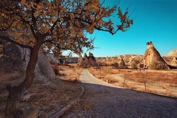 Kappadokien Turkiet Fairy Chimney Multihead Sten Svamp Dalen Munkarna Pasabag — Stockfoto