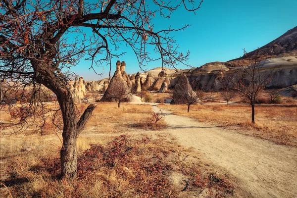 Capadocia Turquía Chimenea Hadas Champiñones Piedra Multicabeza Valle Los Monjes —  Fotos de Stock