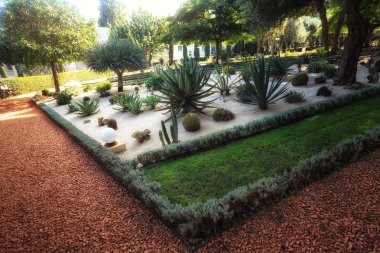 Haifa İsrail Bahai bahçelerinde. Burada insanlar güzel bahçeleri, çiçek ve diğer bitkiler hayran bir yerdir.