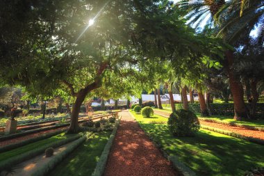 Haifa İsrail Bahai bahçelerinde. Burada insanlar güzel bahçeleri, çiçek ve diğer bitkiler hayran bir yerdir.