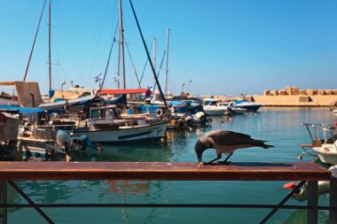 Tel-Aviv, İsrail, Ekim 2017. Tekneler ve yatlar Yafa'nın eski bağlantı noktası doğal görünümünü