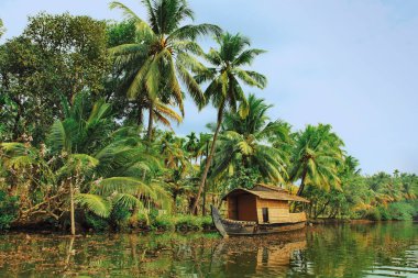 Tekne-evi önemsizden palmiye ağacı Ekim arka plan üzerinde içinde 