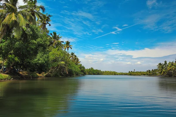 Dłonie Wzdłuż Kanałów Jezior Rozlewiska Kerala Indie — Zdjęcie stockowe