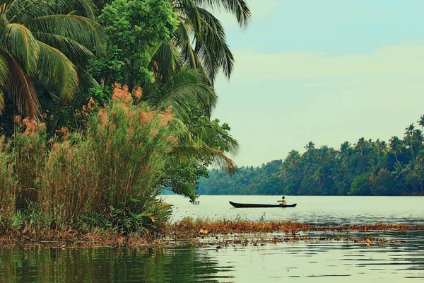 Πλωτό Σπίτι Backwaters Φόντο Δέντρο Της Παλάμης Φυτεία — Φωτογραφία Αρχείου