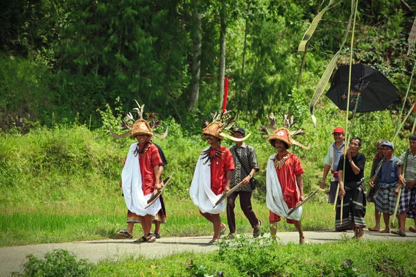 Тана Тораджа Сулавеси Индонезия Декабрь 2011 Года Шествие Похоронах Тана — стоковое фото