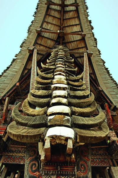 버팔로 Tongkonan Kete 가옥에서 Tana Toraja 술라웨시 인도네시아 — 스톡 사진