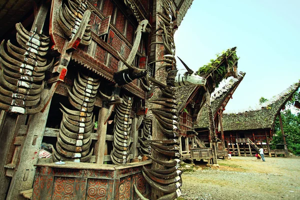 Bawole Rogi Tongkonan Traditional Houses Miejscowości Kete Kesu Tana Toraja — Zdjęcie stockowe