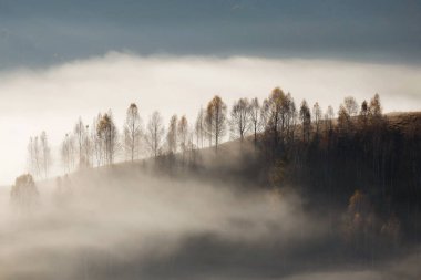 Güzel manzara gündoğumu, sonbahar renkleri