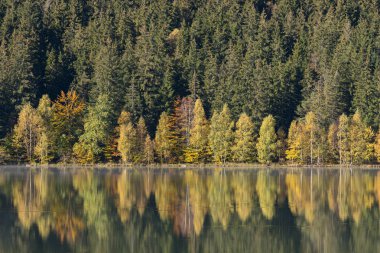 Dağ gölü kenarında, güzel yenilgileri ile renkli orman sonbahar manzara
