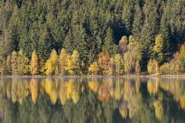 Dağ gölü kenarında, güzel yenilgileri ile renkli orman sonbahar manzara