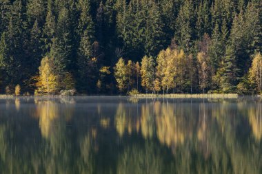 Dağ gölü kenarında, güzel yenilgileri ile renkli orman sonbahar manzara