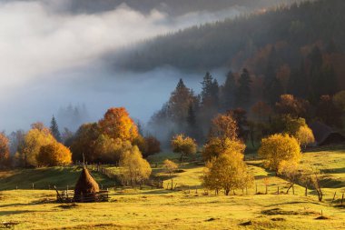 Bucovina sisli sabah. Renkli manzarada sonbahar: Romen Köyü