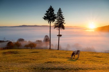 Foggy autumn morning above the traditional romanian cottages, in Bucovina - Romania clipart