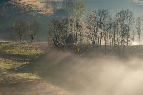 Beau Paysage Aux Couleurs Automnales Lever Soleil — Photo