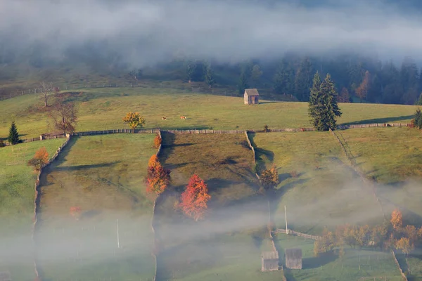 Schöne Landschaft Herbstlichen Farben Bei Sonnenaufgang — Stockfoto