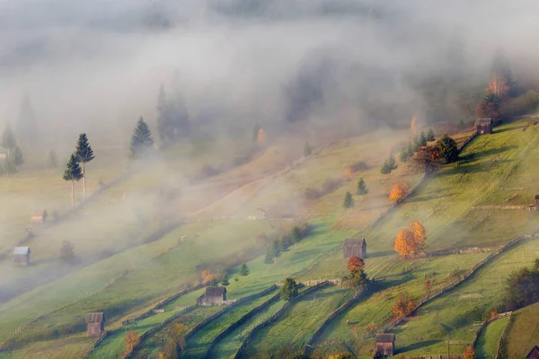 Wunderschöne Landschaft Herbstfarben Bei Sonnenaufgang Der Bukowina — Stockfoto