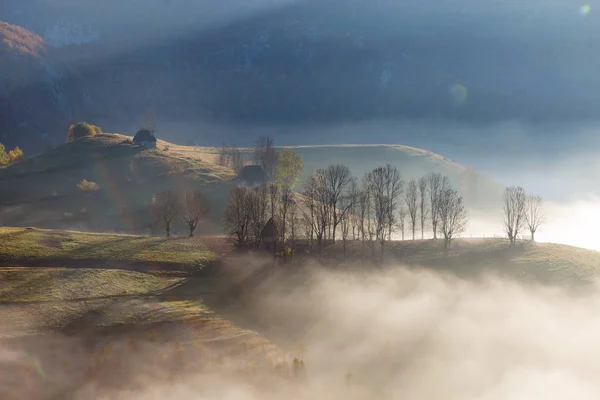 Güzel manzara gündoğumu, sonbahar renkleri