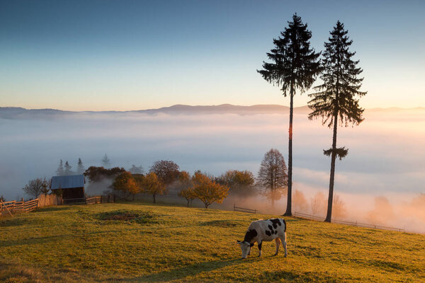 Туманное осеннее утро над традиционными румынскими коттеджами, Буковина - Румыния
