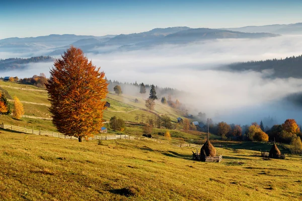 ルーマニアの伝統的なルーマニアのコテージ上秋霧の朝 — ストック写真