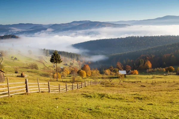 Beautiful Autumn Colors Romanian Hills Colourful Autumn Landscape — Stock Photo, Image