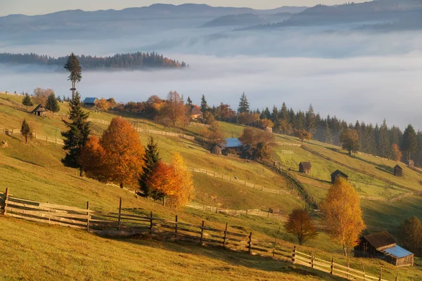 Krásná Krajina Barvách Podzimu Při Východu Slunce — Stock fotografie