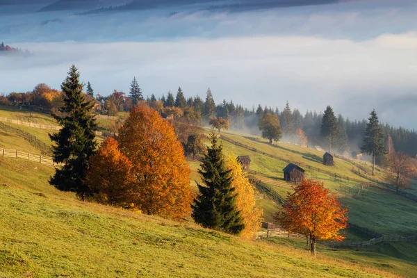 Manhã Nebulosa Bucovina Outono Paisagem Colorida Aldeia Romena — Fotografia de Stock