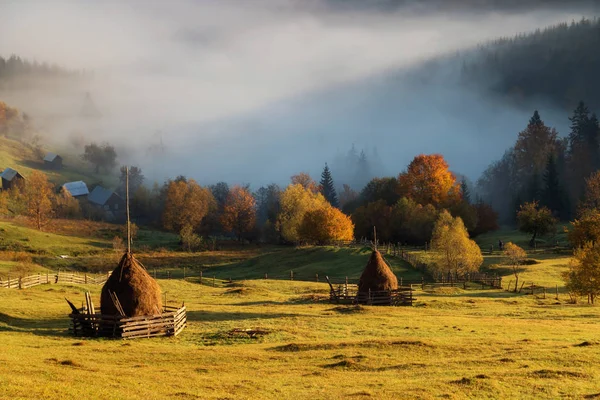 Krásné Podzimní Barvy Rumunské Hory Barevné Podzimní Krajina — Stock fotografie