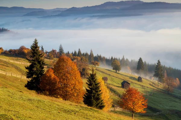 Schöne Herbstfarben Auf Den Rumänischen Hügeln Bunte Herbstlandschaft — Stockfoto