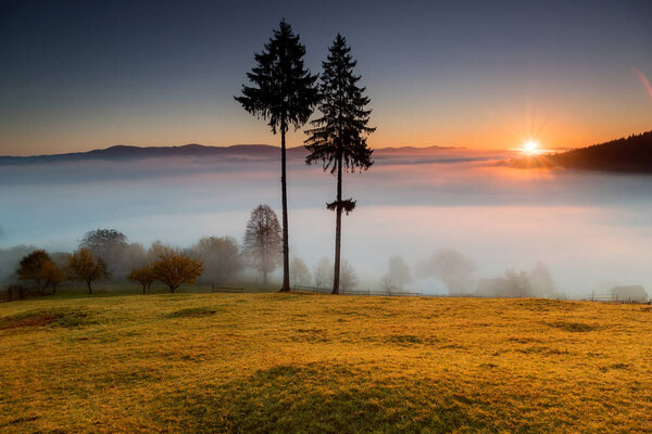 Туманное осеннее утро над традиционными румынскими коттеджами, Буковина - Румыния
