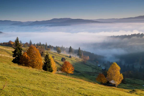 Schöne Herbstfarben Auf Den Rumänischen Hügeln Bunte Herbstlandschaft — Stockfoto