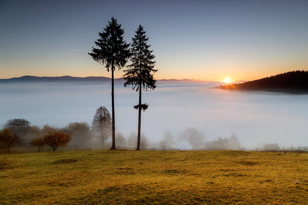 Туманное утро в Буковине. Осенний красочный пейзаж в румынской деревне
