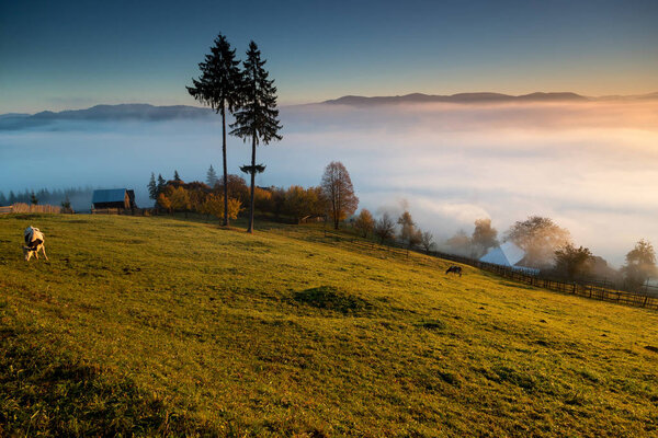 Красивые осенние цвета на румынских холмах. Красочный осенний пейзаж
