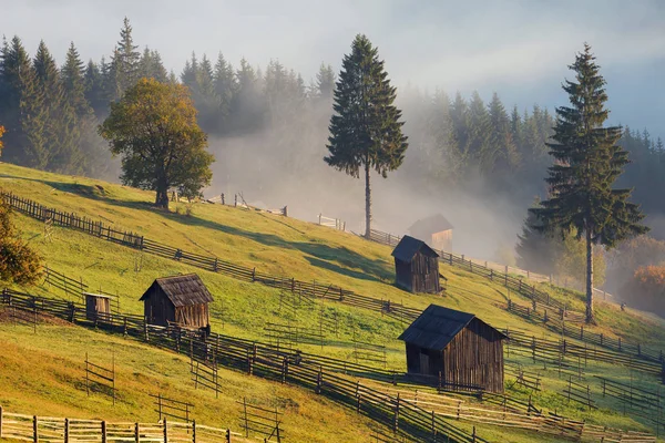 Vackra Höstfärger Rumänska Kullarna Färgglada Höstlandskap — Stockfoto