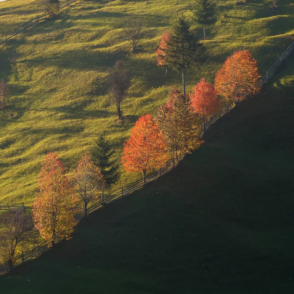 Beautiful Autumn Colors Romanian Hills Colourful Autumn Landscape — Stock Photo, Image