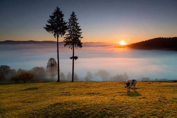 Туманное осеннее утро над традиционными румынскими коттеджами, Буковина - Румыния
