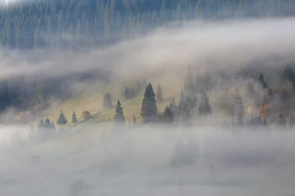 Niebla Mañana Otoño Por Encima Del Bosque —  Fotos de Stock