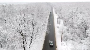 Ormanın ortasında bir yol görünümünü kış karla kaplı